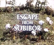 Escape From Sobibor (1987)